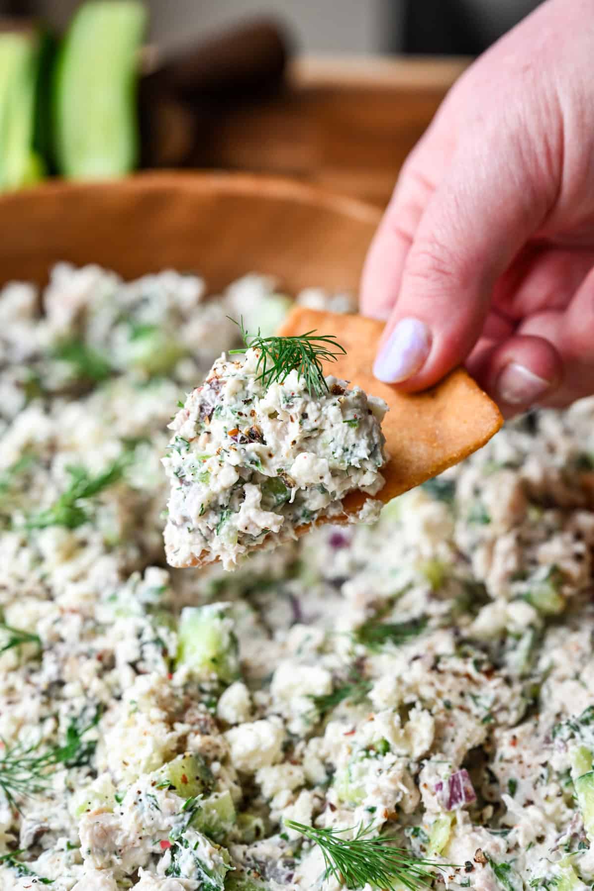 En pitabröd med en kula tzatziki kycklingsallad på toppen.