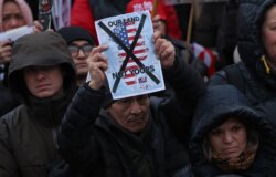 Trump tillkännager nya tullar över Grönland: Hur har EU:s allierade reagerat?