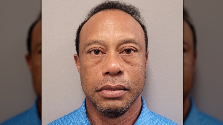 Tiger Woods-bild taget efter att ha laddats med en DUI