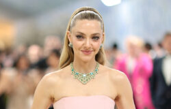 Amanda Seyfried blir verklig om vuxenakne i rått 2026 Met Gala Red Carpet Moment