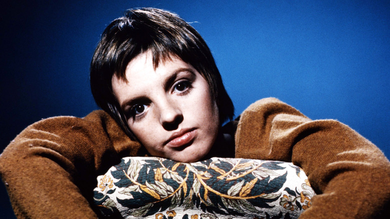 Liza Minnelli poserar med huvudet åt sidan iklädd en brun topp mot en blå bakgrund.