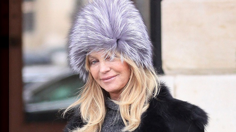 Goldie Hawn poserar utanför med en lila-grå pälsmössa och svart päls.