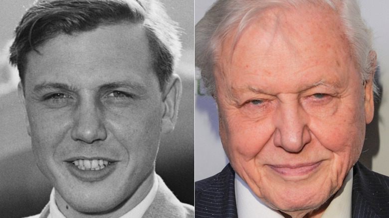David Attenborough poserar på ett evenemang