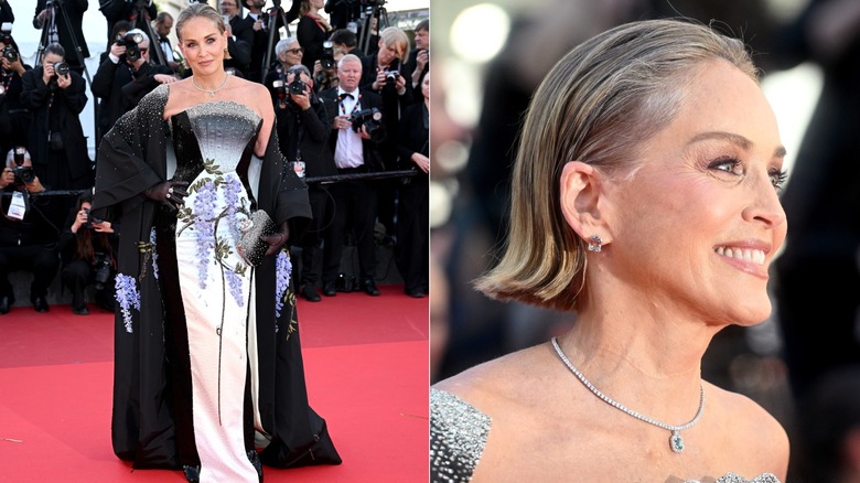 Delad bild av Sharon Stone klädd i en elegant klänning på röda mattan på filmfestivalen i Cannes 2026.