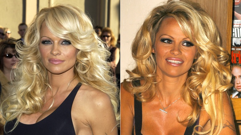 Pamela Anderson vid den 31:a årliga American Music Awards i Los Angeles i november 2003 / Pamela Anderson vid en signering för sin bok 