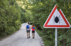 5 vanliga myter om fästingbett som utsätter dig för risker
