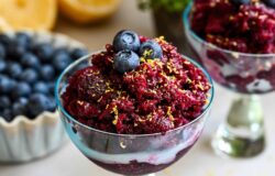 Blåbär Citron Granita