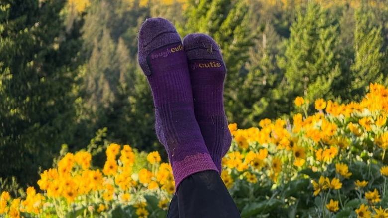 Brittany Coleman poserade i sina lila ToughCutie-strumpor i ett fält av vilda blommor på Washingtons Dog Mountain under hennes "Strumpor och toppmöten" serie vandringar i maj 2025.