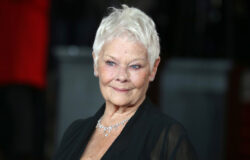 Dagens citat av Judi Dench: ”Jag vill inte ha några av de gamla orden…”