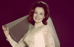 7 Throwback-bilder av Shelley Fabares som fångade 60-talet perfekt