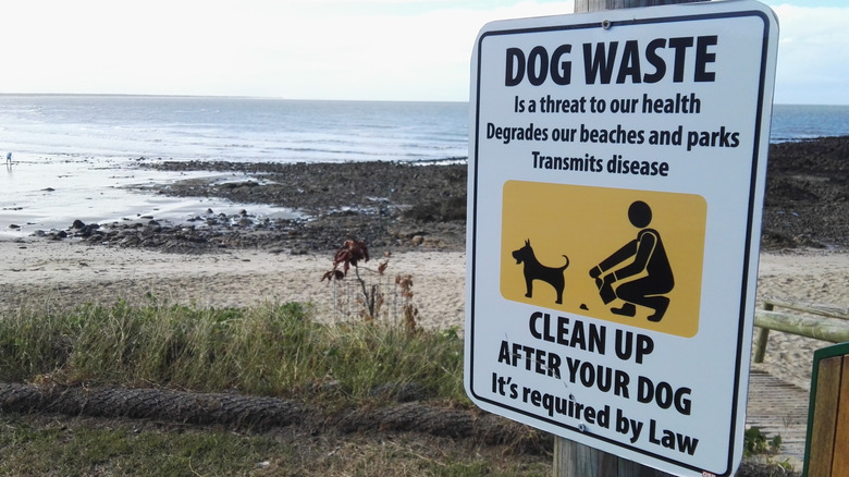 En påminnelseskylt för hundavfall på stranden