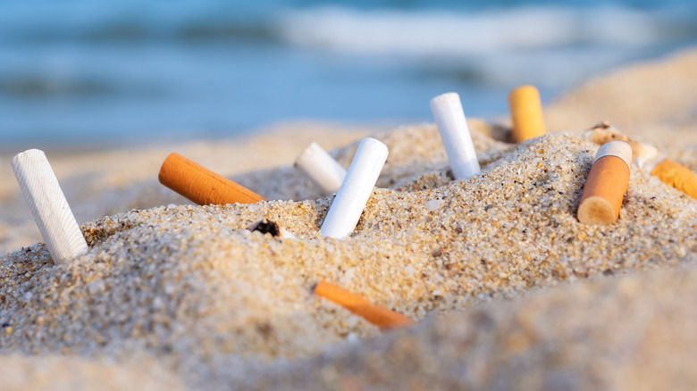 Cigarettfimpar i gul sand på en strand