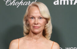 Pamela Andersons Shaggy Strawberry-Blonde Bob var en av hennes djärvaste skönhetsgungor