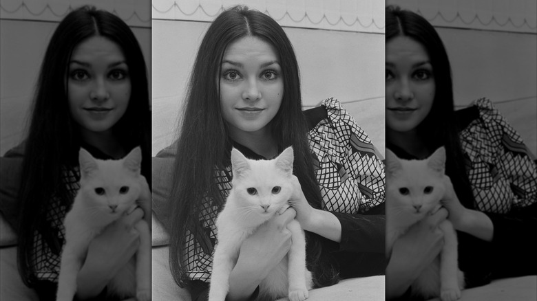 Ett porträtt av Victoria Principal 1970 med rakt brunt hår som håller i en vit katt.