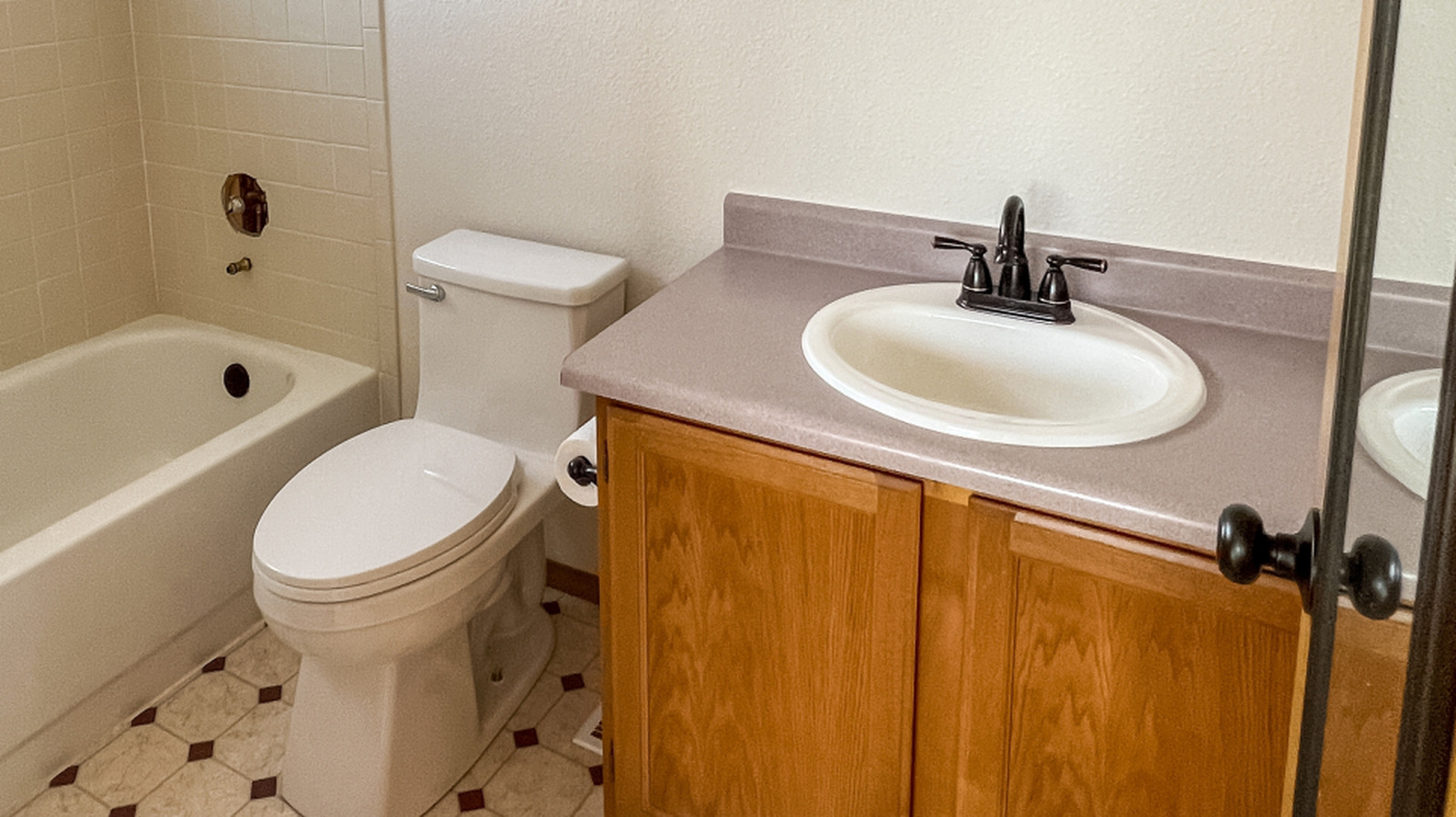 Har vi badrumsrenlighet helt fel? USA:s hygienvana som stör världen