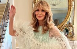 70-talsikonen Jaclyn Smith bemästrade brudgummens mor-stil vid hennes sons bröllop