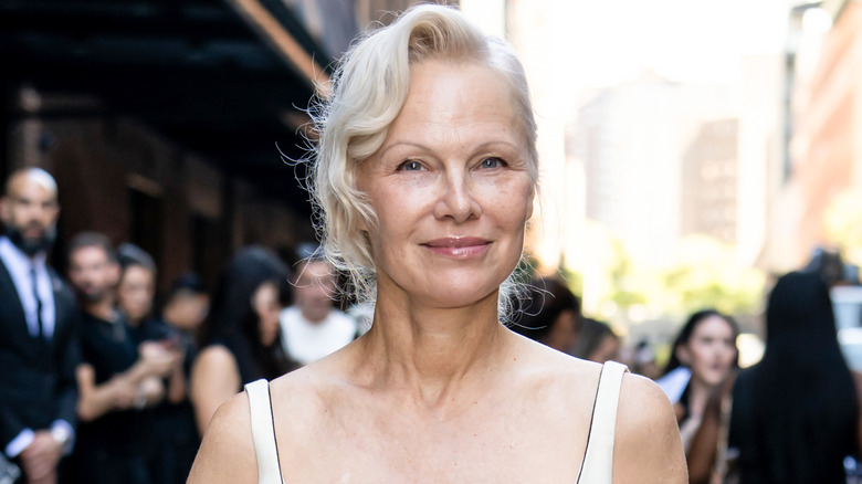 Pamela Anderson 2026