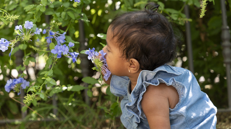 En flicka som luktar blommor