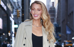 Blake Lively’s Hairdryer Kitchen Hack är en germafobes värsta mardröm
