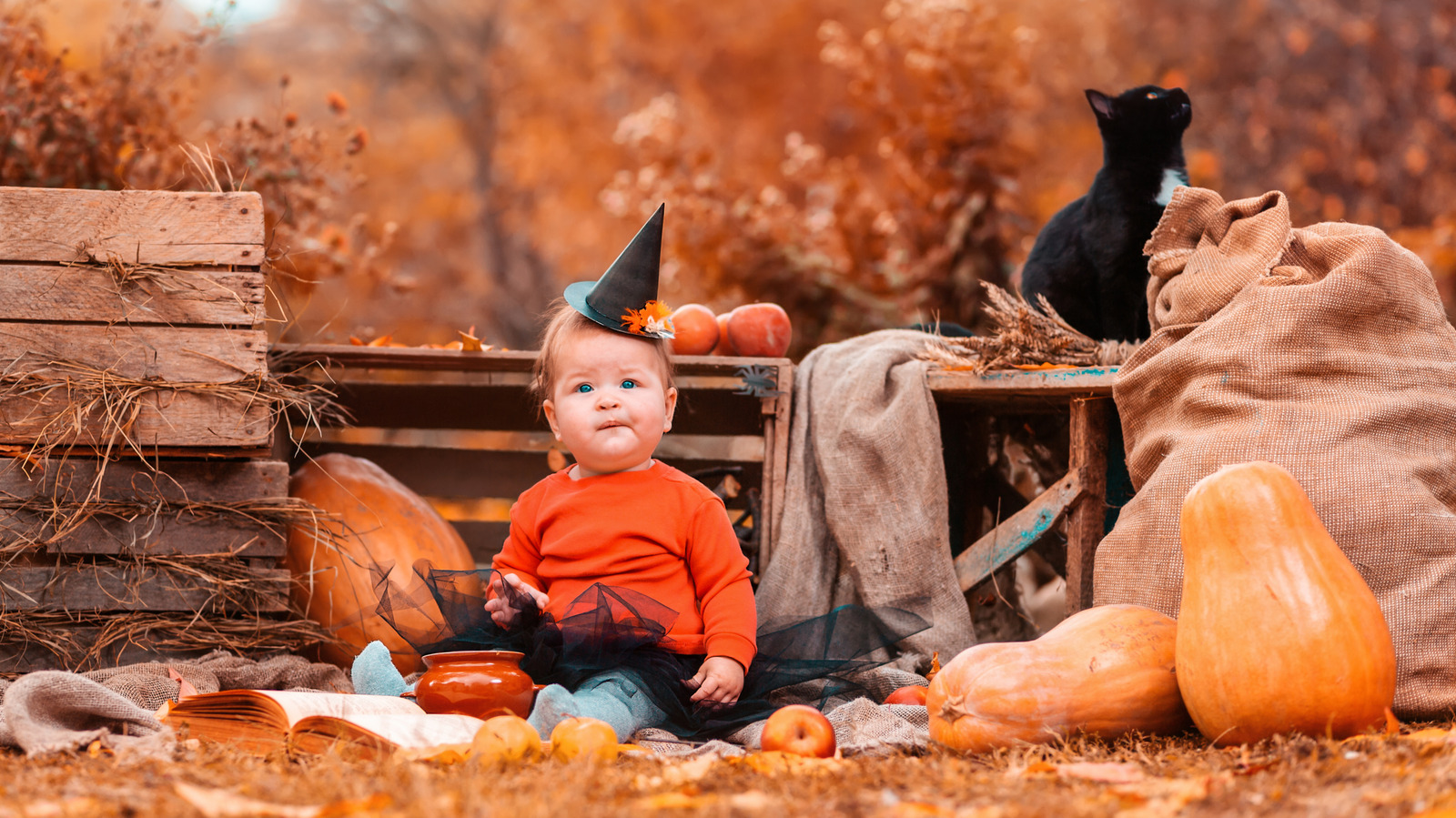 100 babynamn inspirerade av Halloween för kusliga säsongsälskare