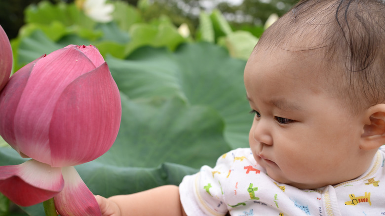 En baby som tittar på en rosa blomma