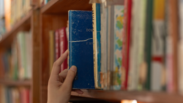 En slutbild av klassiska romaner, inkluderar The Catcher in the Rye av JD Salinger